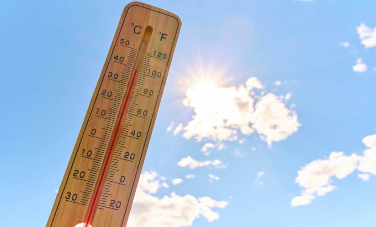 thermomètre extérieur en bois