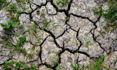 Terrain fissuré pendant un épisode de sécheresse