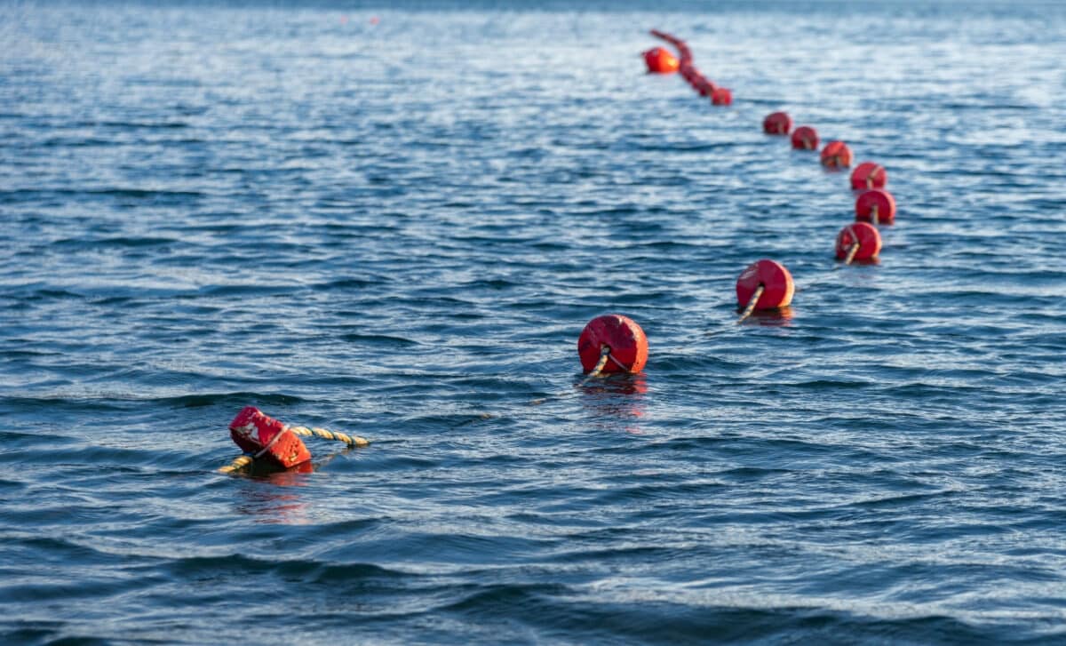 zone de baignade marquée de sphères rouges flottantes