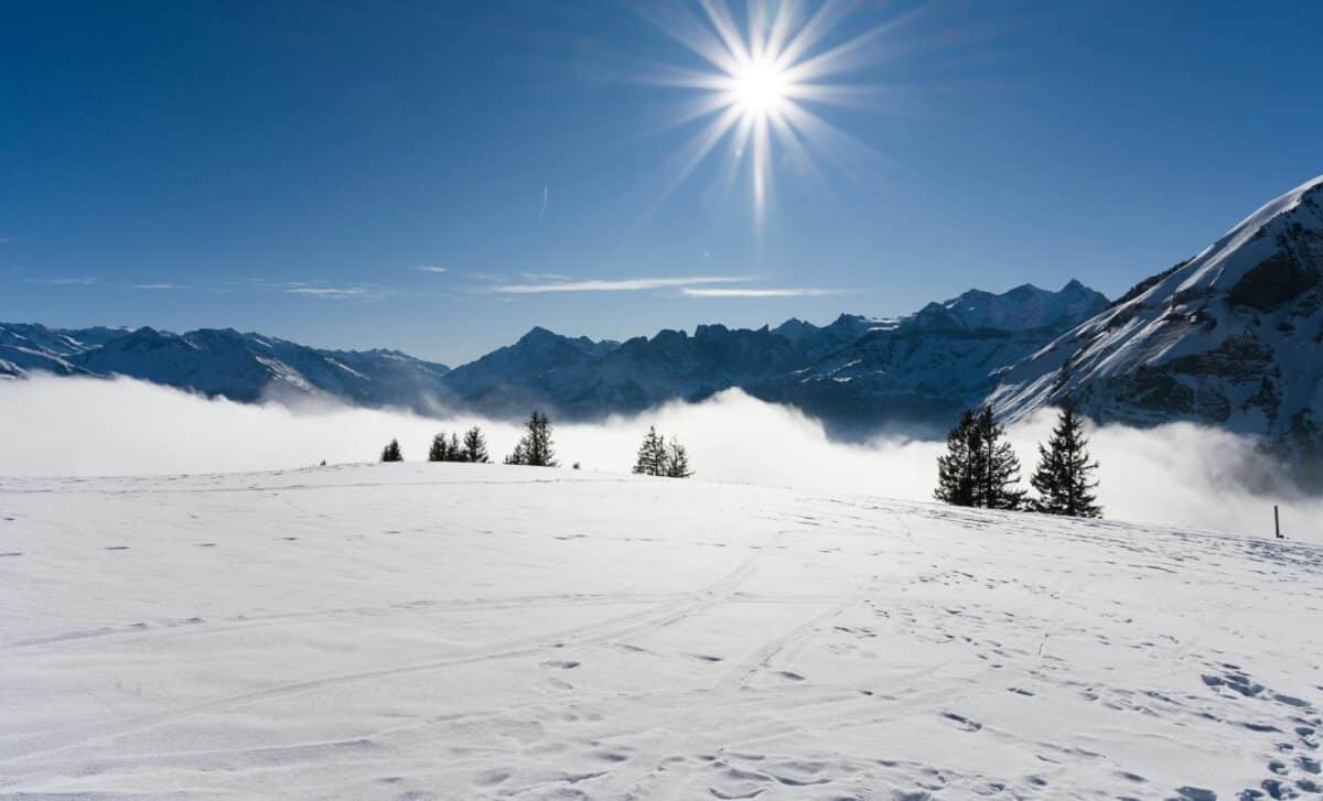 Suisse