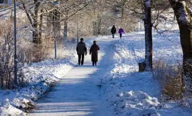 Econostrum.info - Edition Suisse Balades