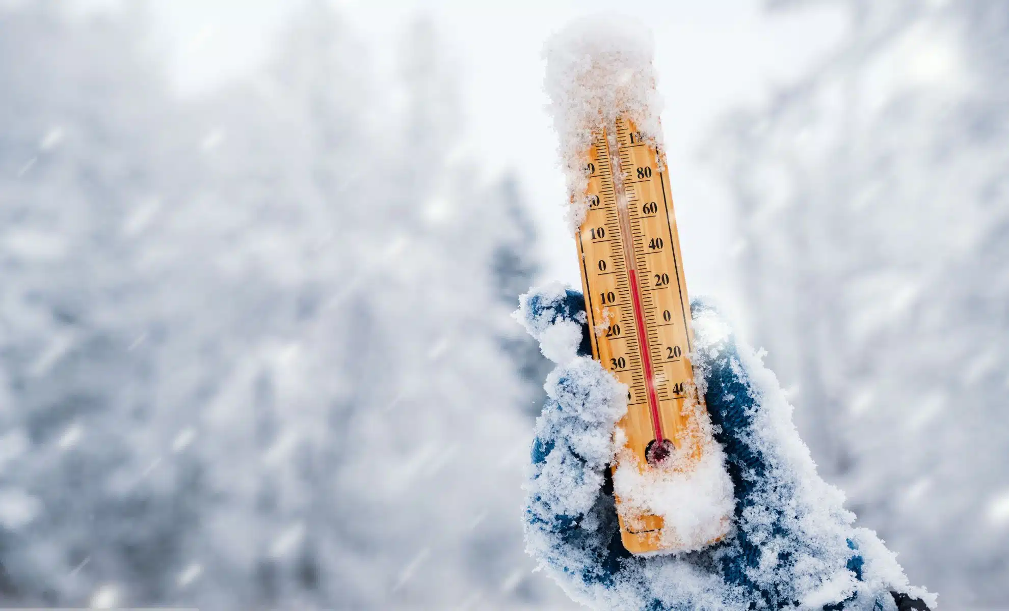 Econostrum.info - Edition Suisse Froid