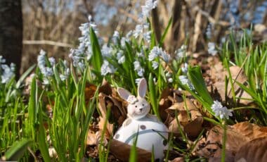 Econostrum.info - Edition Suisse paques