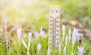 Coup de froid