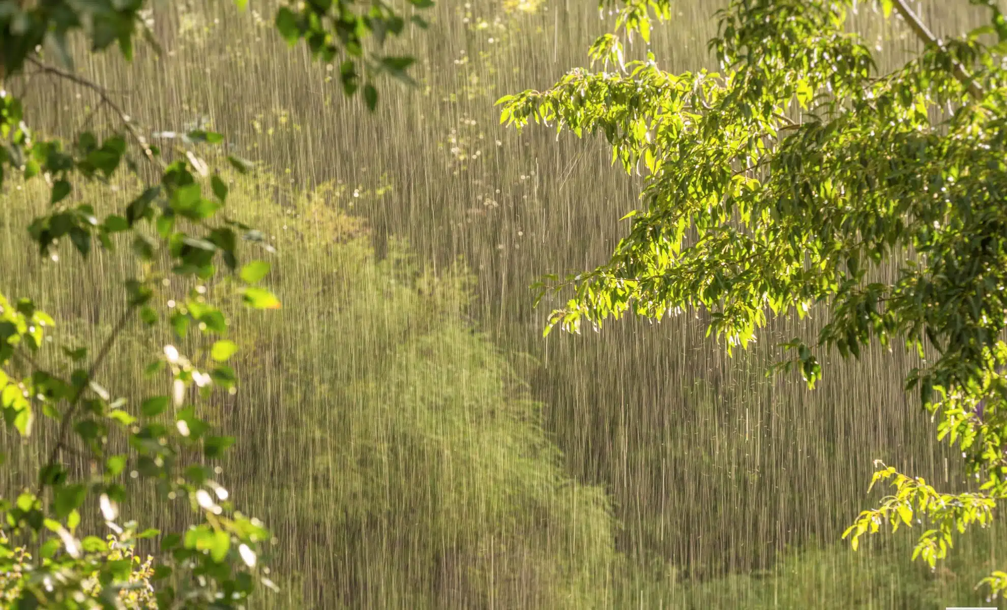Econostrum.info - Edition Suisse Malgré les orages et la pluie, la chaleur peut rester coincée la nuit en Suisse