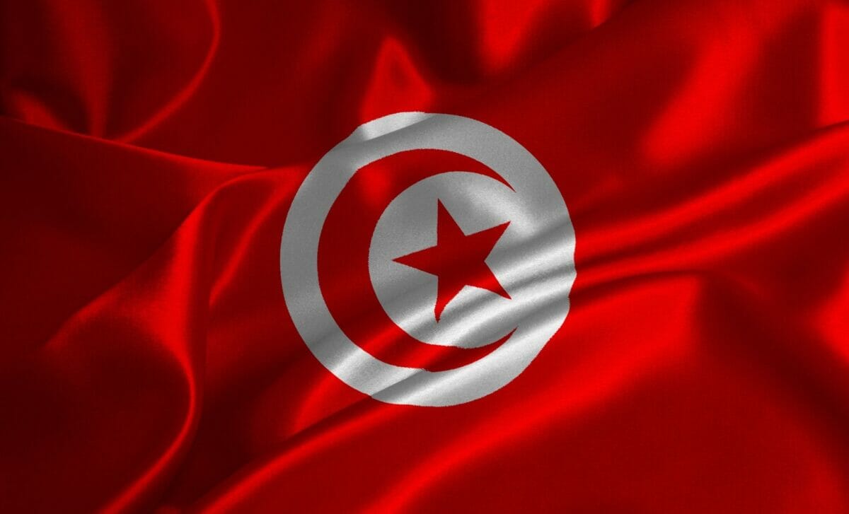 Tunisie : la diaspora tunisienne à la rescousse d'un pays en crise