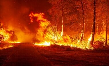 Météo France Lance L'alerte Un Risque Imminent D'incendie Ce 24 Juillet 2023 !