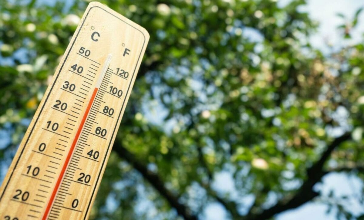 Alerte canicule : Le gouvernement met en place un numéro vert Canicule info service