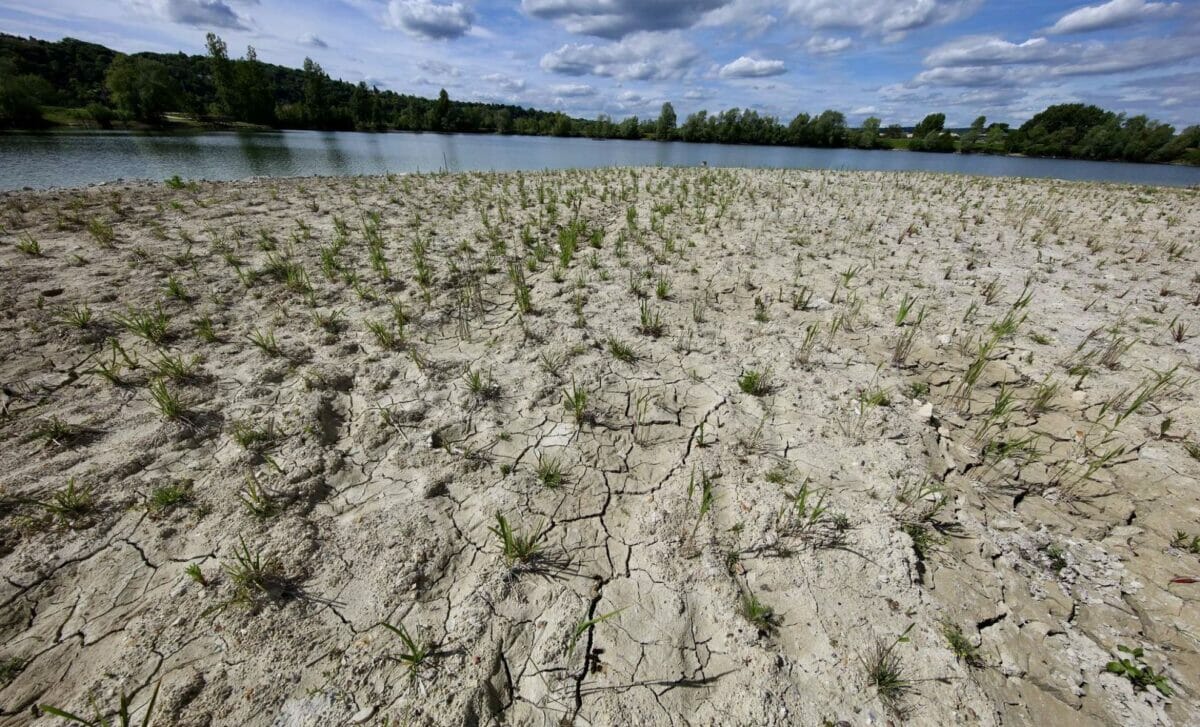 Températures Les Effets Pervers De La Canicule Sur La Croissance Mondiale