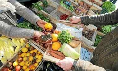 Perturbations météorologiques : les prix des fruits et légumes en baisse