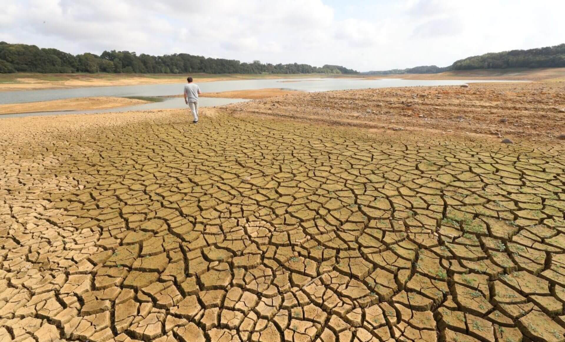 Toujours pas de pluie en vue: Le canton s'achemine vers une sécheresse  record