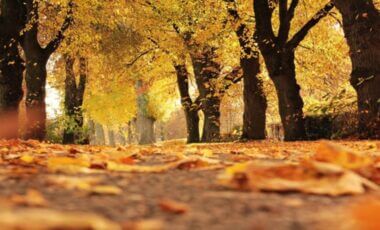 Météo-France: le temps estival persiste ce mercredi 27 septembre