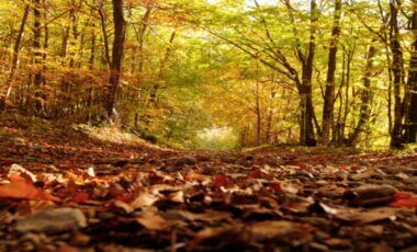 Météo-France : Après un mois de septembre chaud, quel temps fera-t-il le reste de l'automne ?