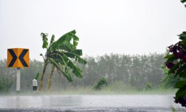 Météo-France : temps pluvieux, chute des températures et vigilance vent sur ces départements !