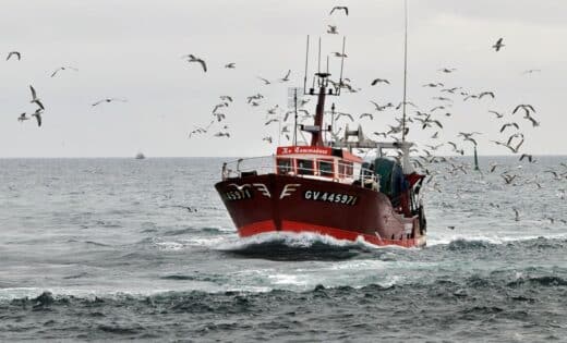 L aide au gazole pour les pêcheurs prolongée jusqu en juin 2024 des