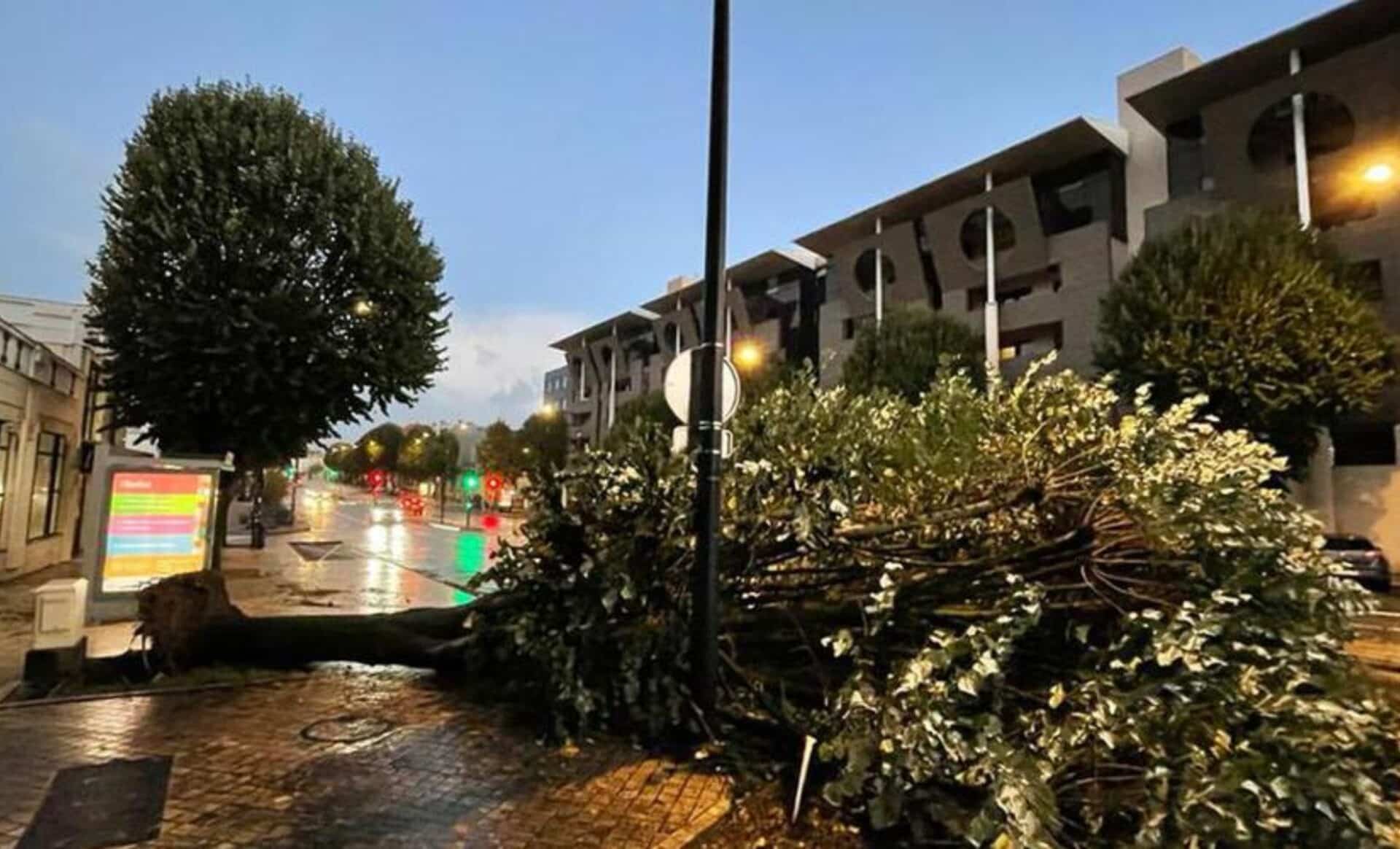 Tempête Domingos 126 000 Foyers Sans électricité Et 8 Toujours En Vigilance Orange,