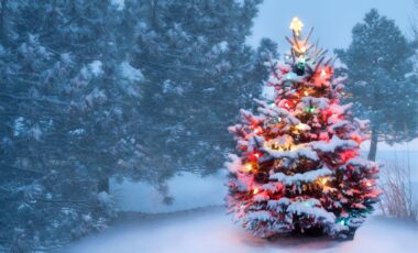 Un sapin de Noël richement décoré dans une cour enneigée pour illustrer le temps qu'il fera à Noël