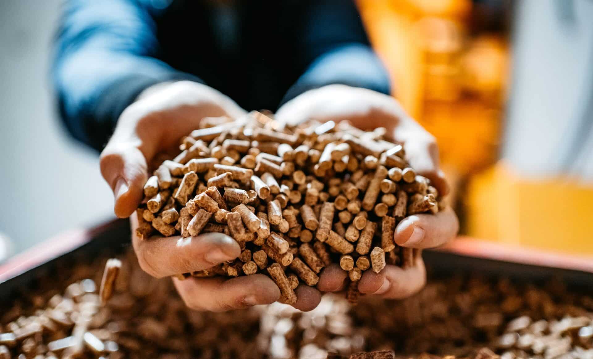 Énergie : se dirige-t-on vers une pénurie de pellets cet hiver ?