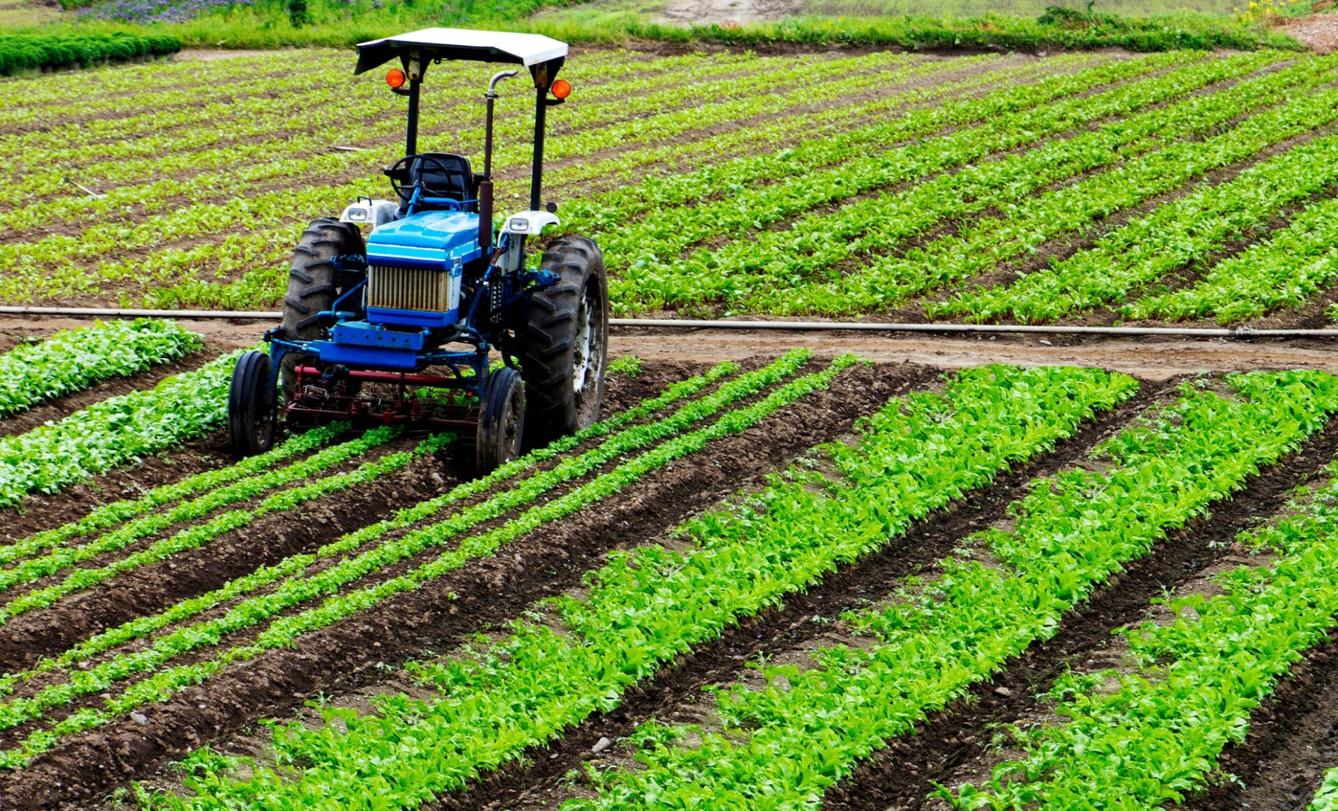 Retraite des agriculteurs : ce qui pourrait changer avec cette proposition de loi