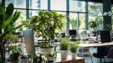 La Plante Personnalisée Une Idee Cadeau écolo A Offrir En Entreprise