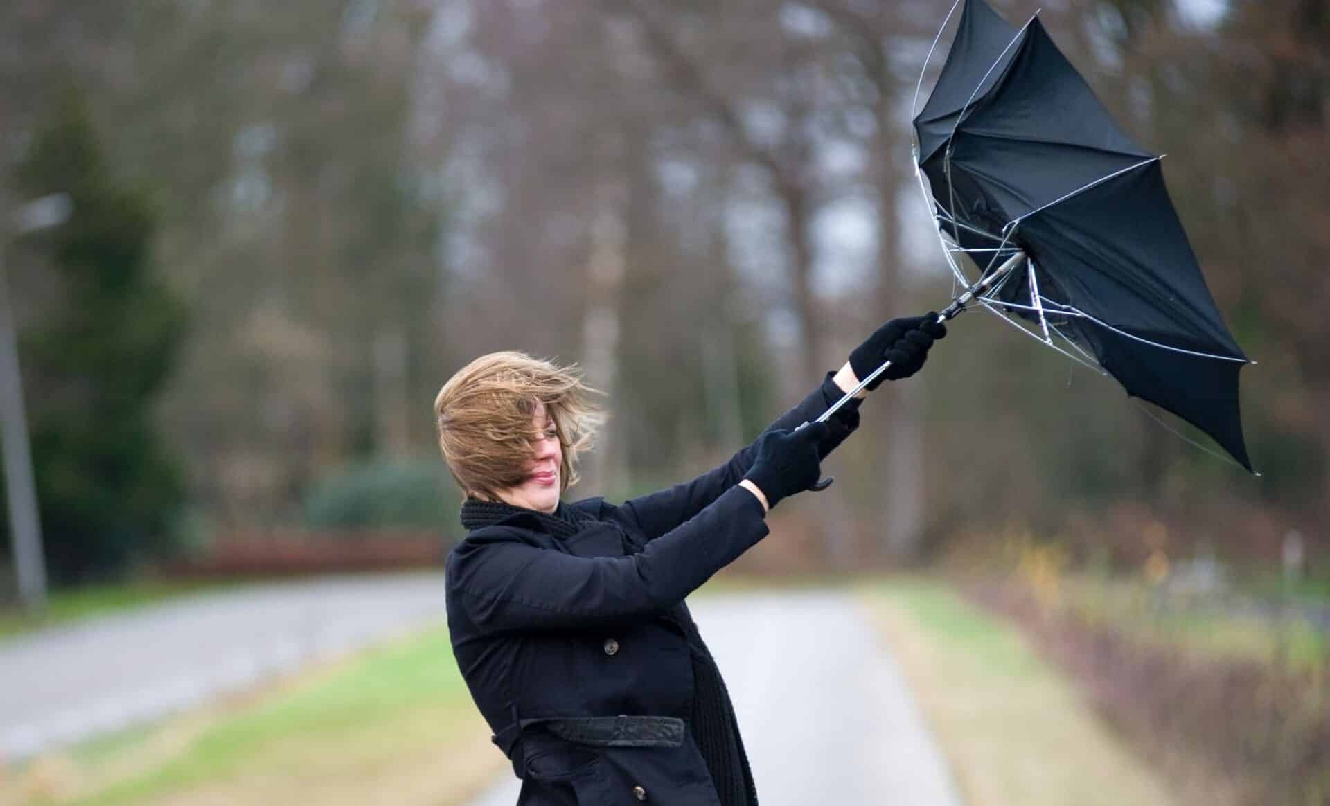 Météo : la douceur va-t-elle prendre fin en février ?