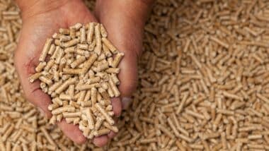 Pellets de bois : vers une baisse du prix en 2024 ?