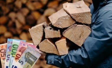 Energie : le prix des différents bois de chauffage au mois d'août