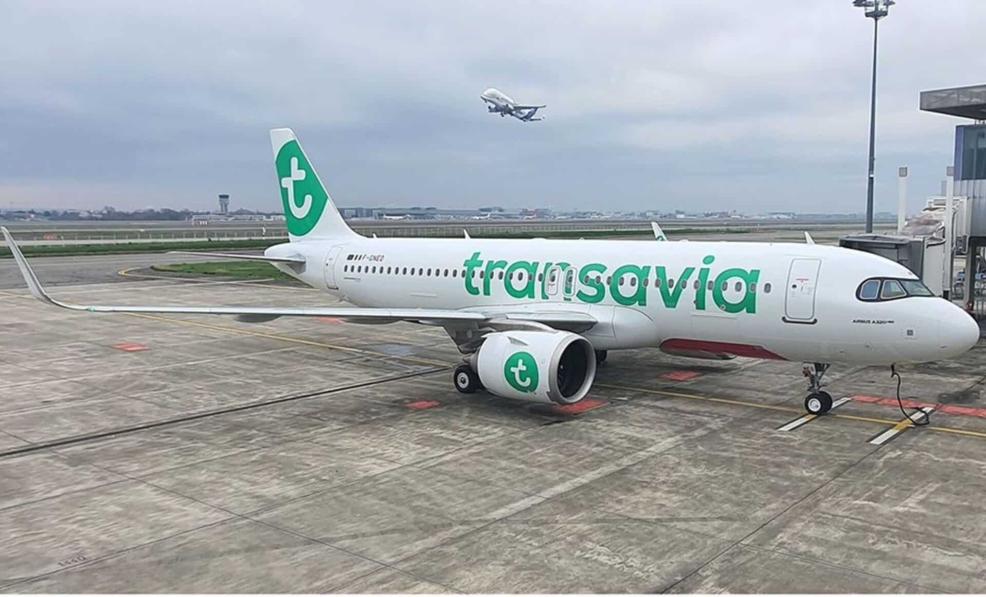 Un avion appartenant à la compagnie aérienne Transavia