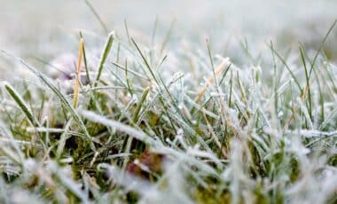 Météo : temps instable, pluies, baisse des températures et gel matinal de retour ce week-end