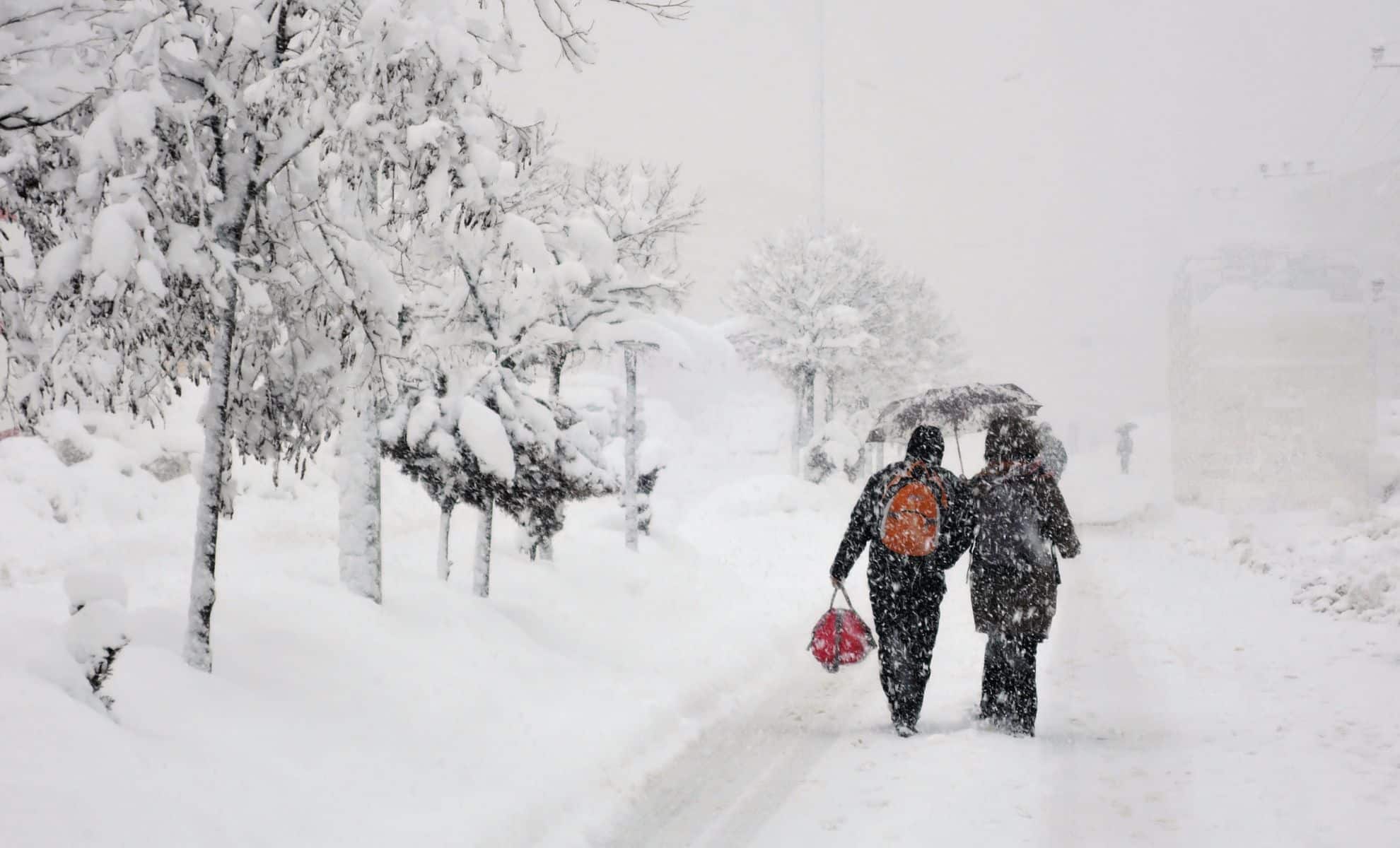 Photo de chutes de neige en montagne