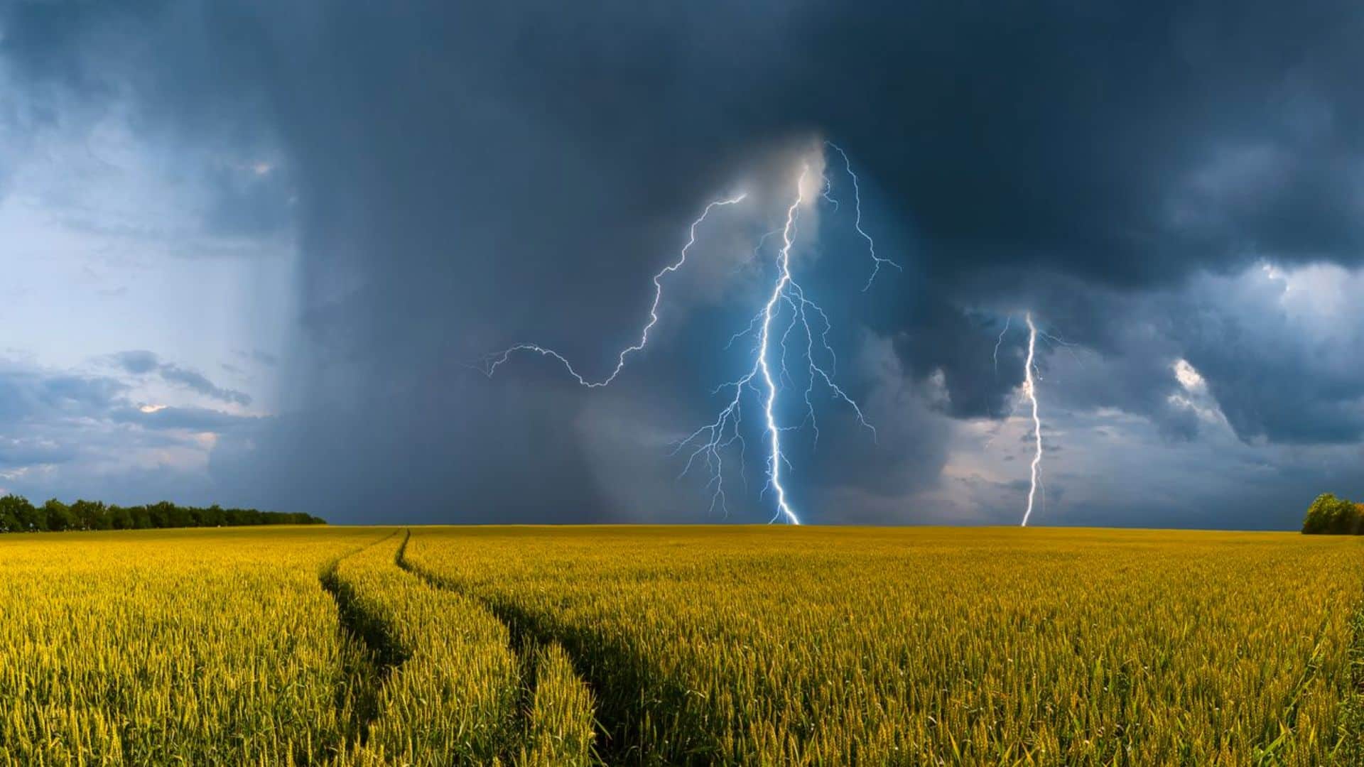 Météo : soleil, pluies, orages… Voici à quoi s'attendre cette semaine