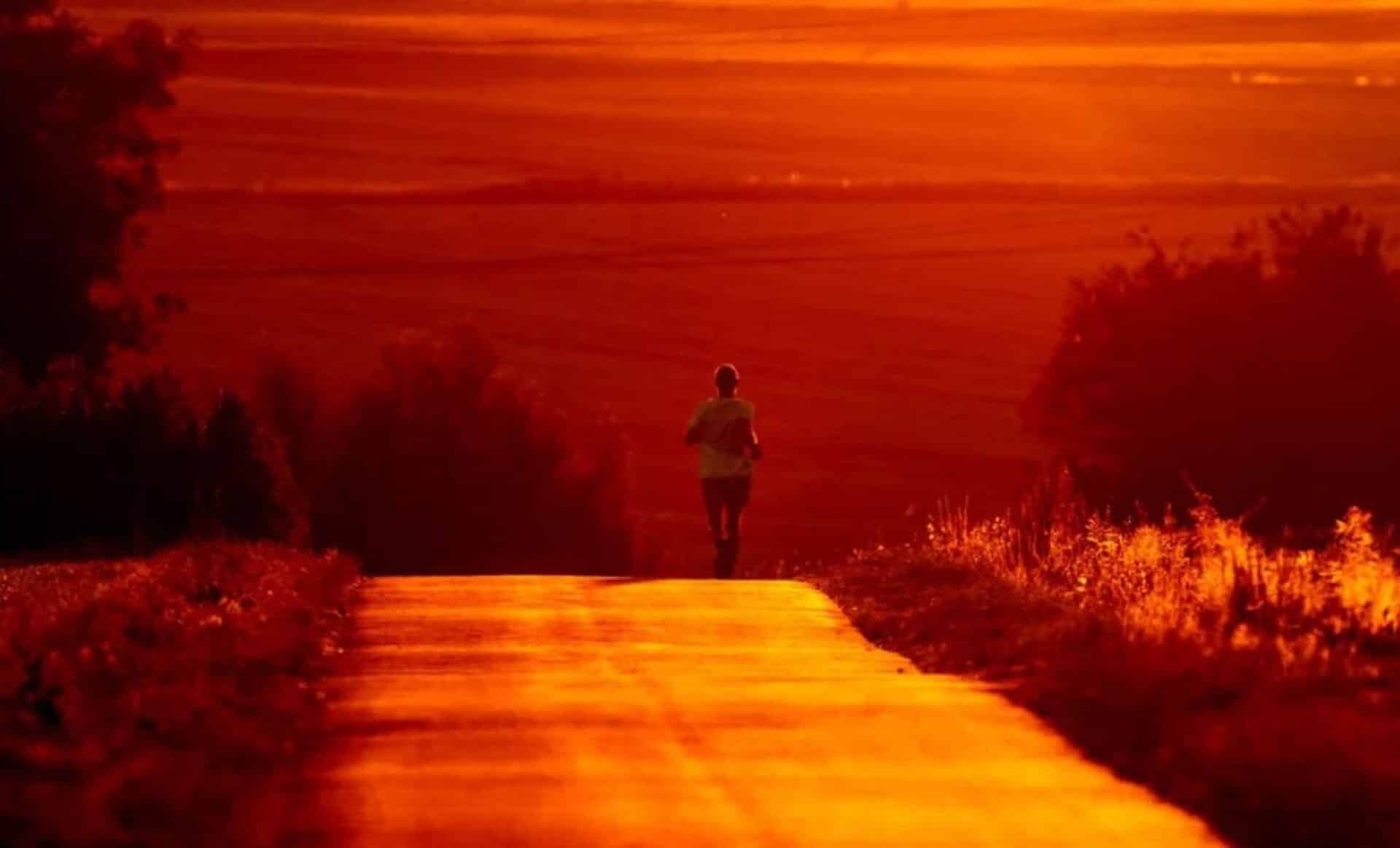 Climat : la France se réchauffe-t-elle plus vite que le reste du monde ?