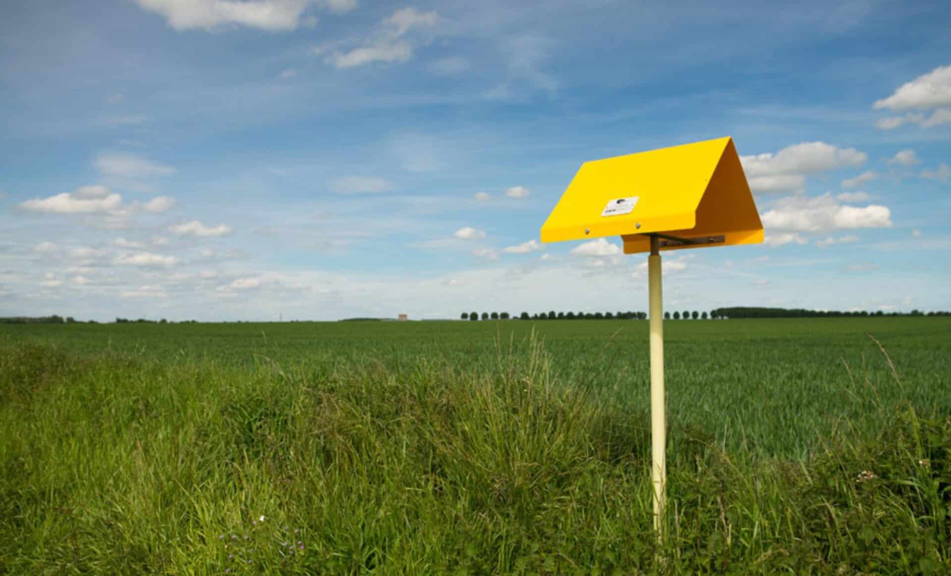 A quoi servent ces mystérieux poteaux jaunes aux abords des routes ?