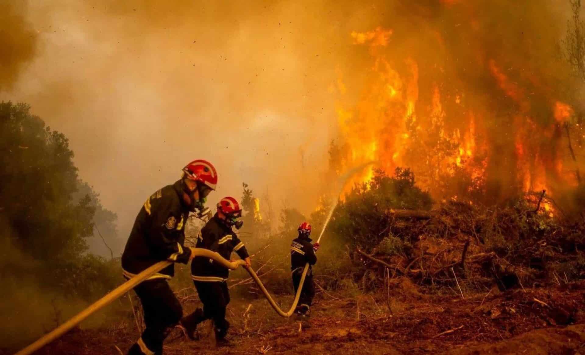 Incendies Malgré La Météo Pluvieuse De Cette Année, L'été Sera Risqué Prévient Météo France