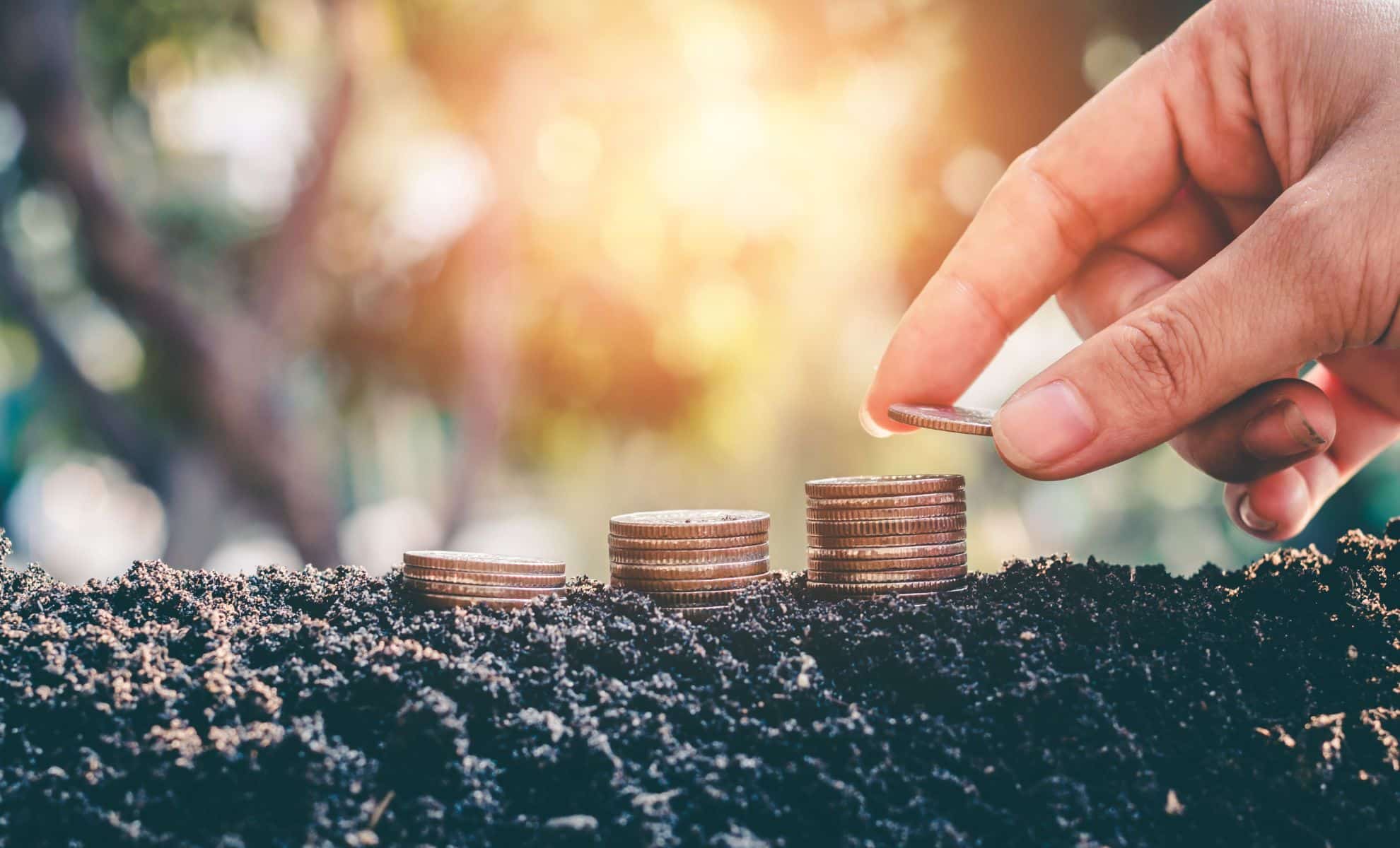 Plan d'épargne avenir climat (PEAC) : qui est éligible à ce nouveau placement dont le taux devrait dépasser le Livret A ?