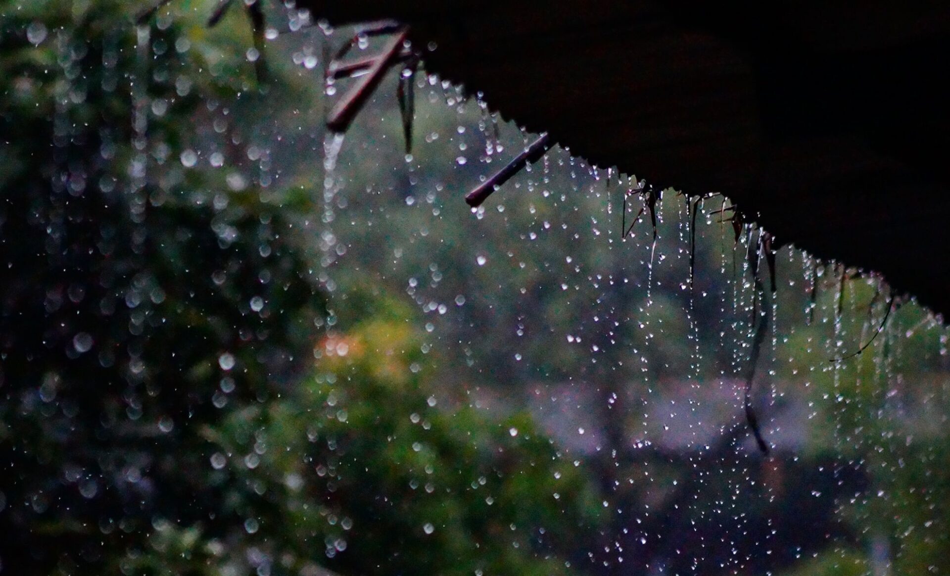 Une météo chaotique