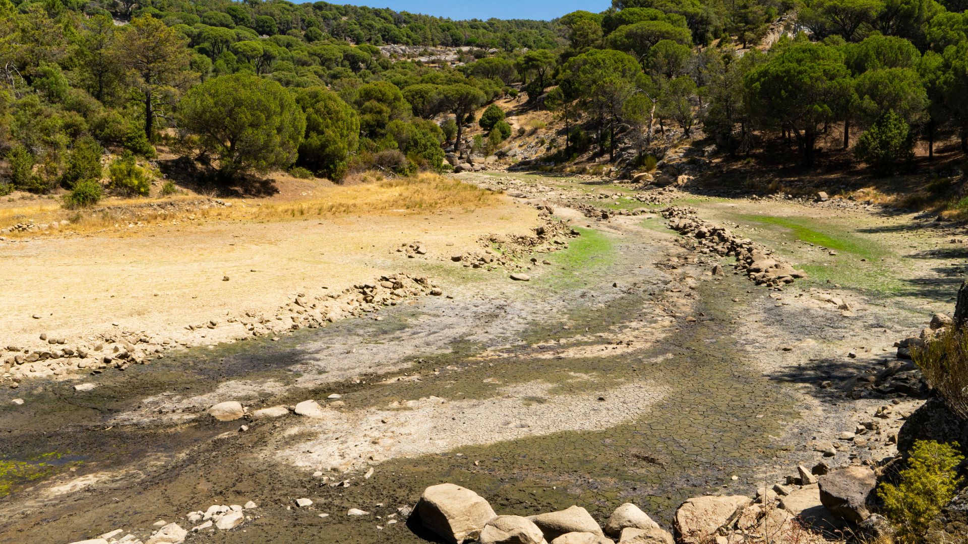 Sécheresse : voici les zones concernées par des arrêtés préfectoraux de restriction d'eau