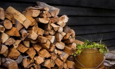 Une pile de bois de chauffage