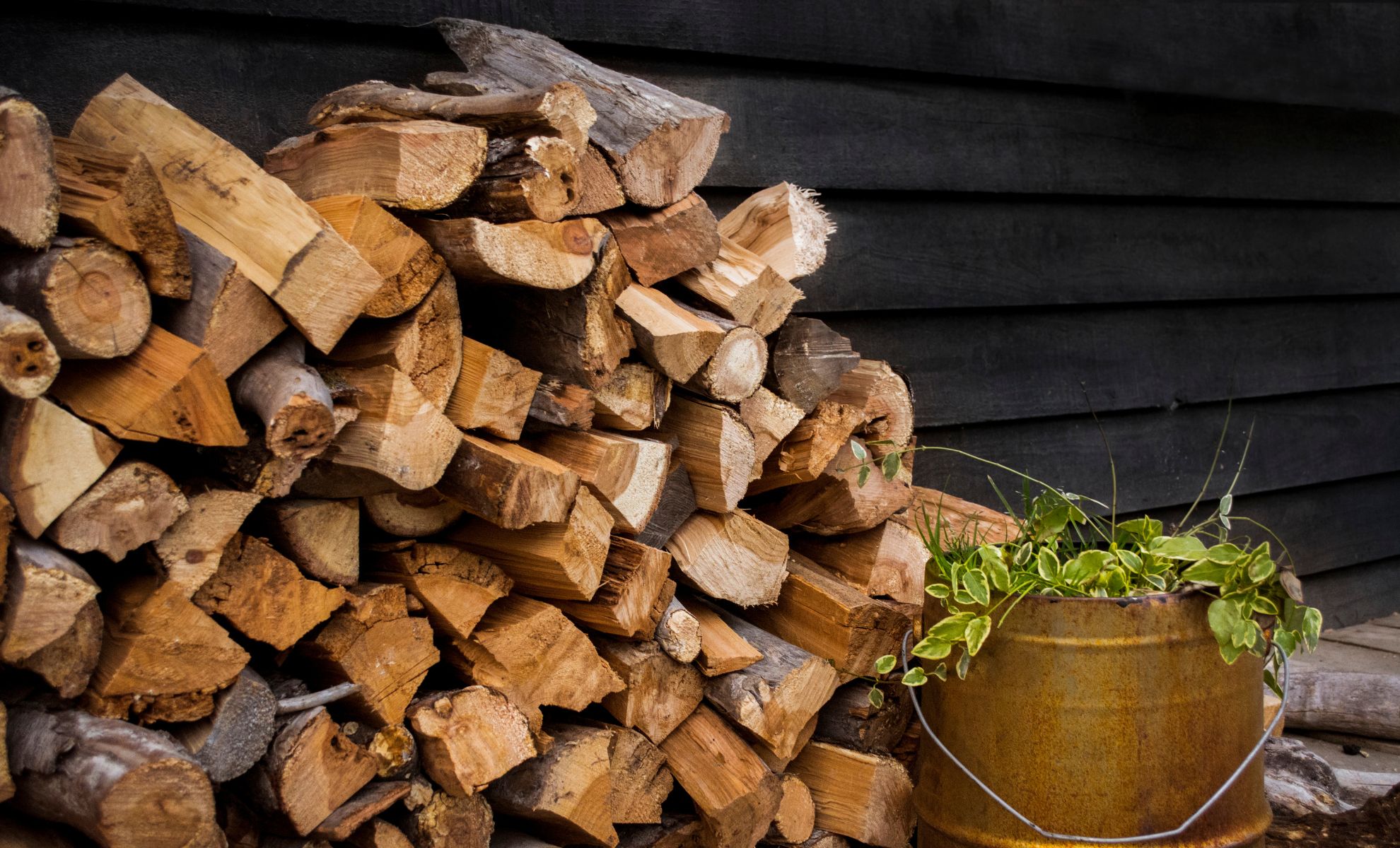 Une pile de bois de chauffage