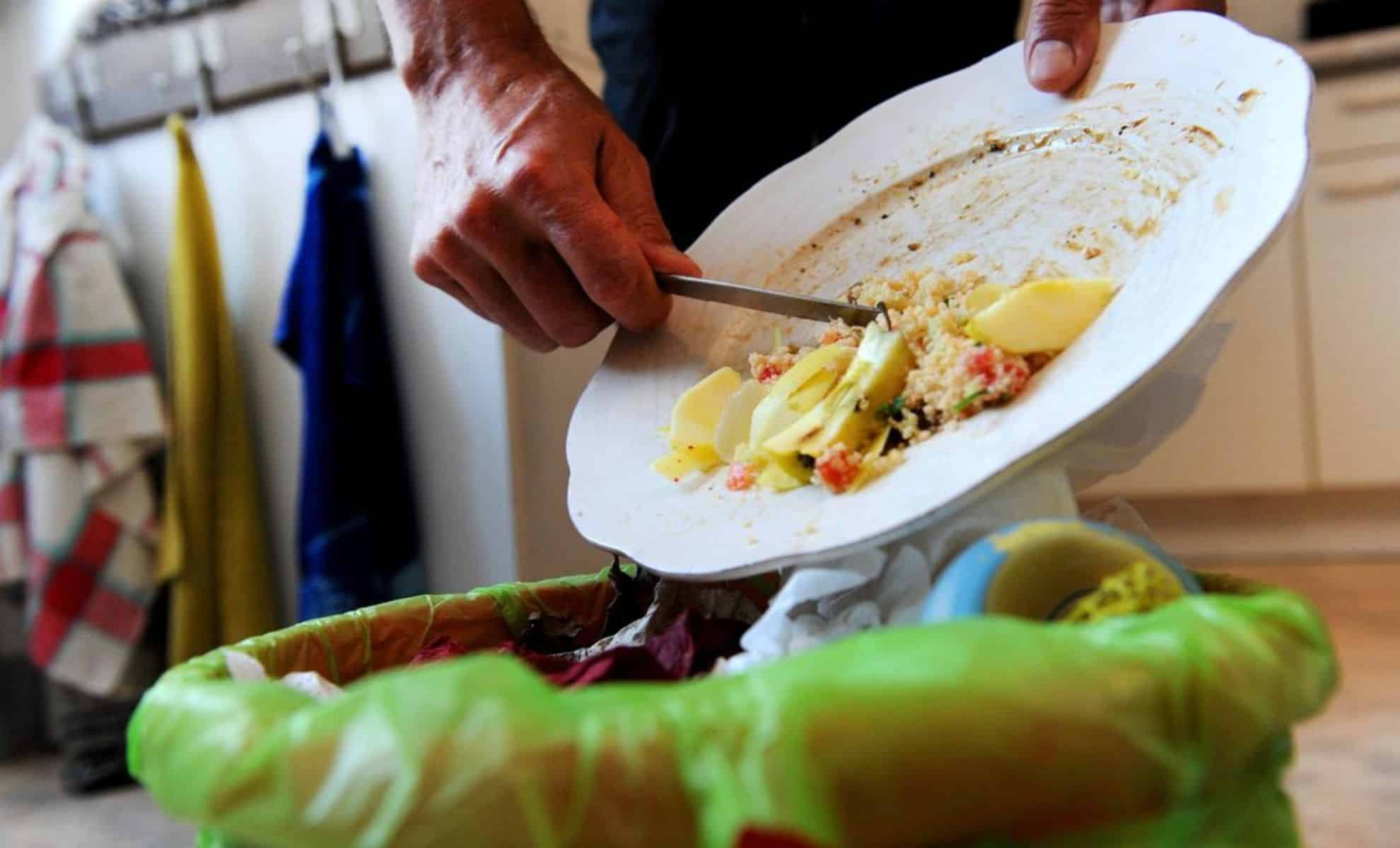 Photo illustrant le gaspillage alimentaire