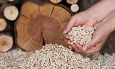 Photo de pellets (granules de bois)