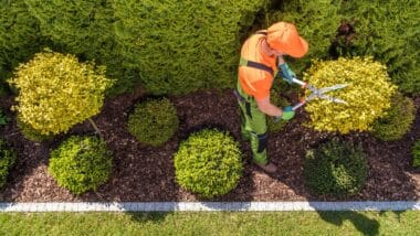 Photo d'une personne exerçant le métier de jardinier paysagiste