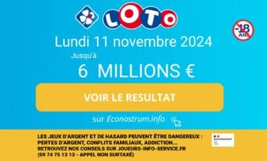 Montage photo regroupant des informations sur le tirage Loto de la FDJ du 11 novembre 2024