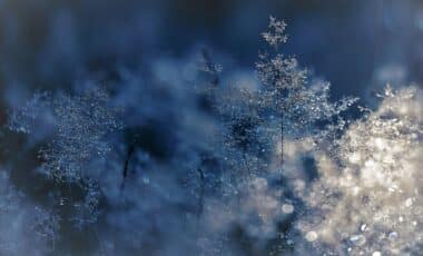 Gelees matinales pour illustrer la meteo hivernale