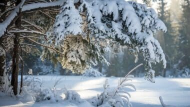 Un paysage avec de la neige pour illustrer les prévisions météo