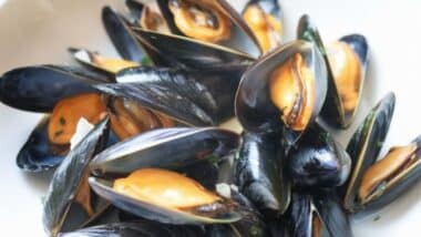 Photos de moules