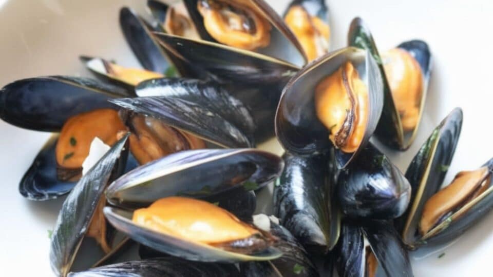 Photos de moules