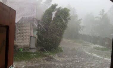 Cette image illustre un épisode météo intense, avec des vents violents et de fortes précipitations. Les arbres sont courbés sous l'effet du vent, et la pluie ou la neige réduit considérablement la visibilité.