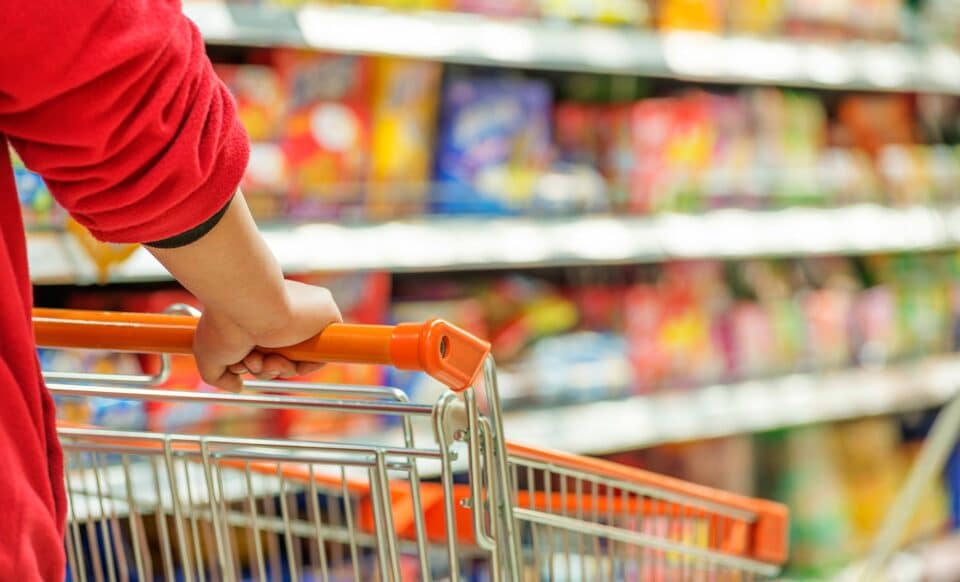 L'image montre une personne poussant un chariot dans un rayon de supermarché pour illustrer les enseignes discount