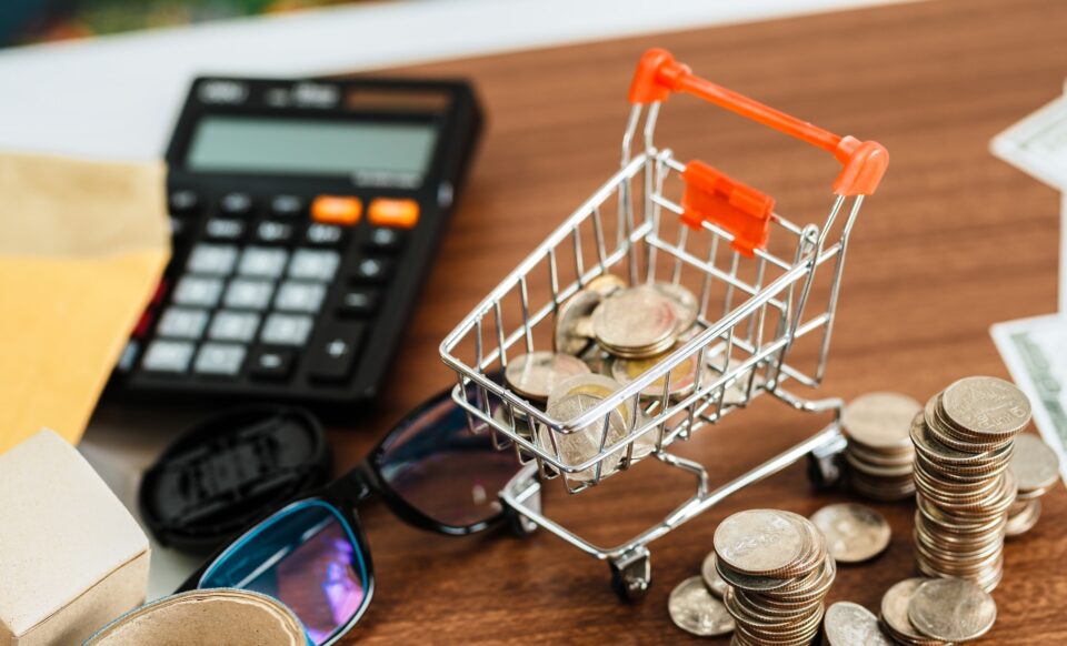 Un caddie rempli de pièces, une calculatrices, des lunettes, image qui illustre le pouvoir d'achat